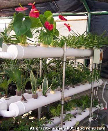 无土栽培技术发展概况