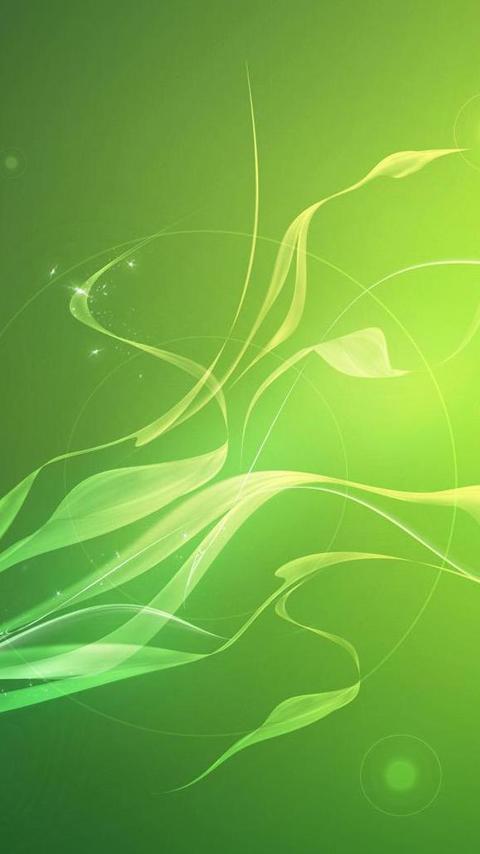 背景 壁纸 绿色 绿叶 树叶 植物 桌面 480_800 竖版 竖屏 手机