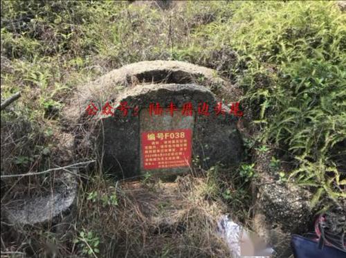 陆丰这座坟墓被贴上编号,急寻墓主后人