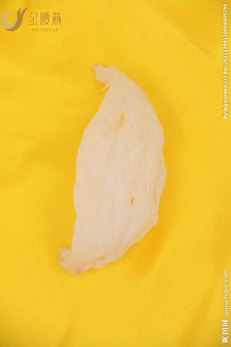 金腰燕燕窝图片