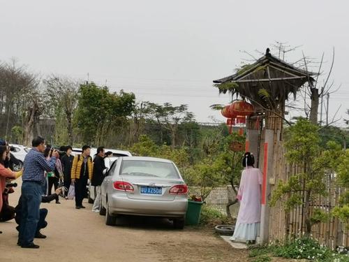 建设中的沙溪宝树园