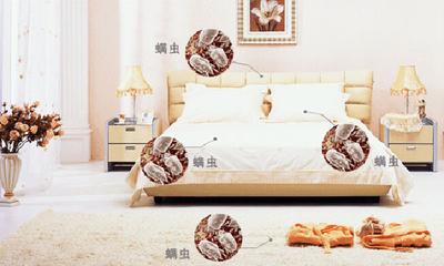 除螨测试,动物除螨测试,微生物除螨试验,除螨设备除螨检测,照射除螨