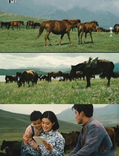 牧马人影评_读书_电影推荐_学习_爱情故事