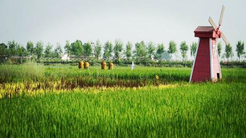 稻渔空间,满足你对向往生活的一切遐想!