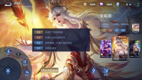 王昭君皮肤——凤凰于飞