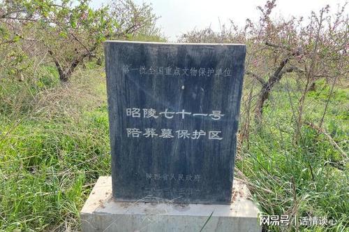 唐太宗李世民最有魄力的儿子千年后墓冢全无但有重大发现