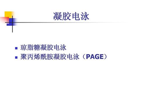凝胶电泳 琼脂糖凝胶电泳 聚丙烯酰胺凝胶电泳( 聚丙烯酰胺凝胶电泳