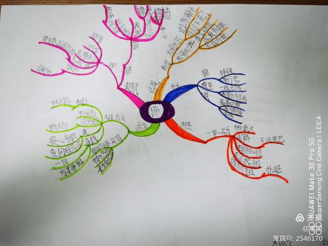 描写动物思维导图