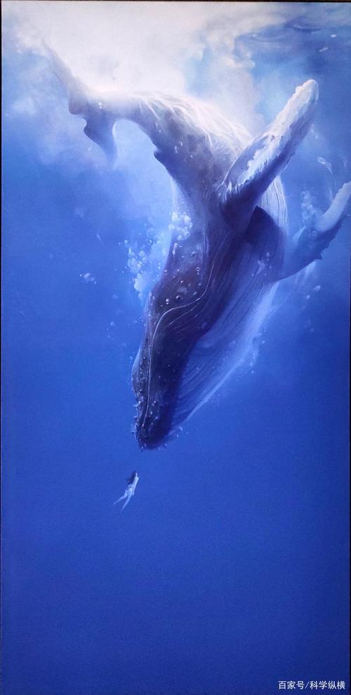 我国科学家南海首次发现鲸落,全球不到50个.一系列