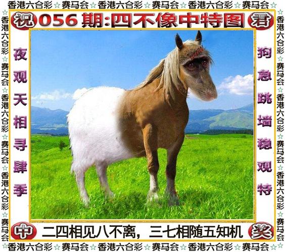 2021年003期 四不像中特图