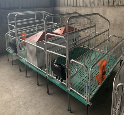 陕西双体母猪母猪产床