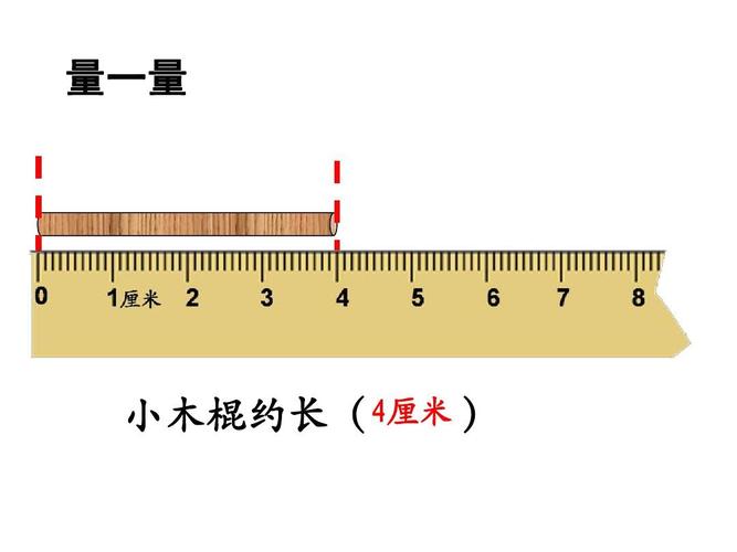 量一量 小木棍约长( 4厘米
