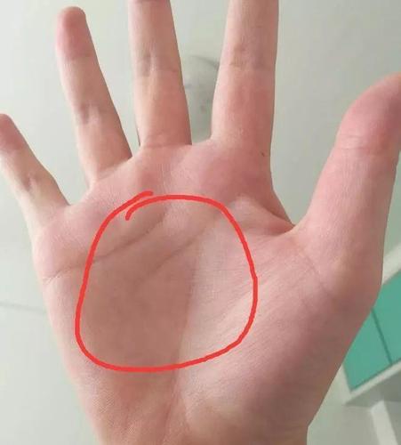 手相有"凤尾纹"的人, 一生福禄多, 至少旺三代!