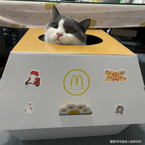 你抢到麦当劳猫窝了吗