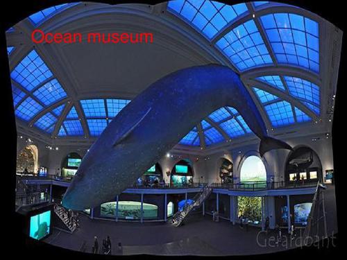 ocean museum