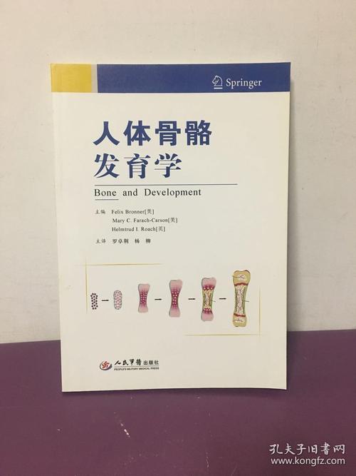 人体骨骼发育学