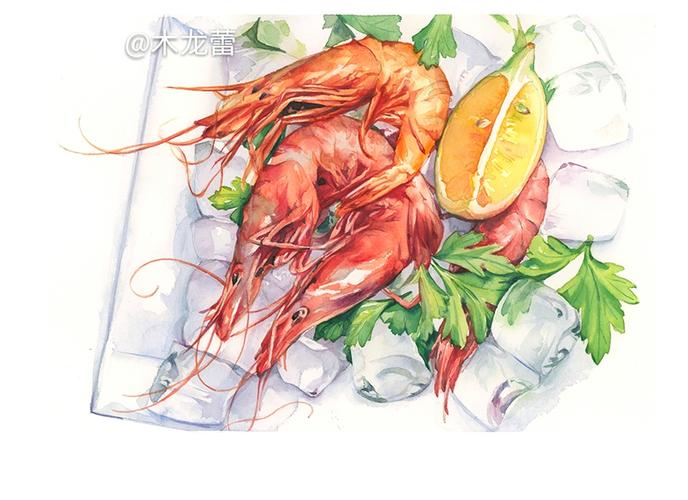 木龙蕾/绘# 虾 大餐 美食 插画 手绘 水彩