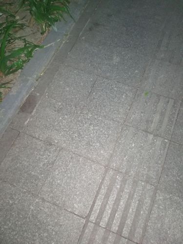 公园人行道上铺满了青石板,好看但不透水.