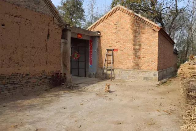 关于北方乡村的"新农村"建设,你怎么看?