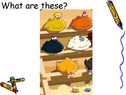 what are these?