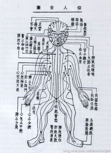 任督二脉及真气学说的中医学本质认识图解