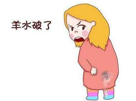 2,足月时因有胎脂,胎儿皮肤脱落细胞,毳毛,毛发等小片物混悬其中,羊水