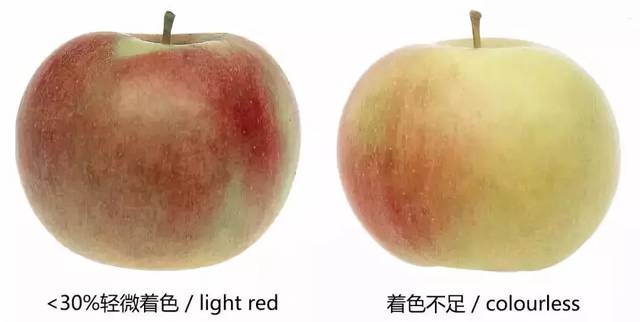 管理| 苹果分级标准示意图