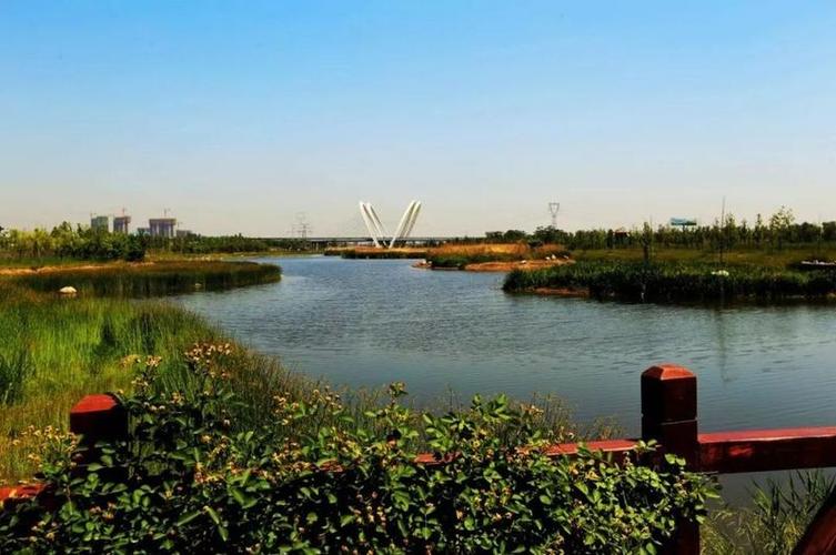 沣河湿地公园实景