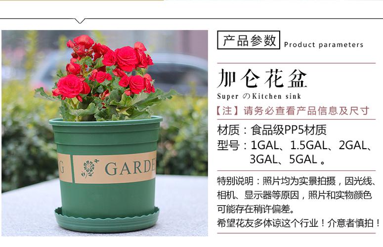 竹雅青加仑盆多肉花盆塑料树脂创意盆栽绿萝兰花花盆大花盆绿色花盆