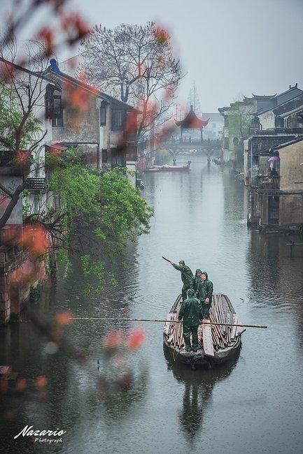 春之女神#雨中游太仓,道不尽的烟雨江南