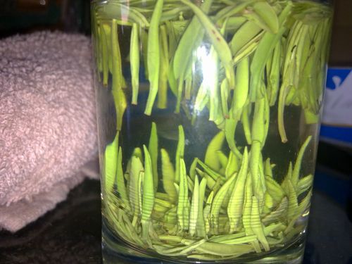 毛尖绿茶