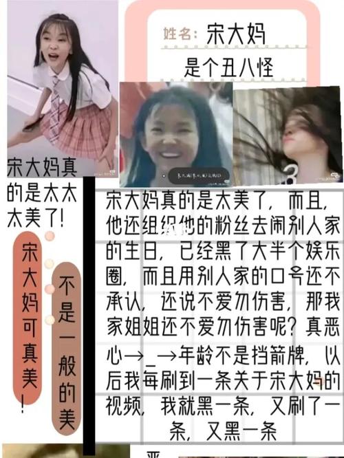 宋小睿,是个人意见,不代表其他人的意见_生日_严浩翔