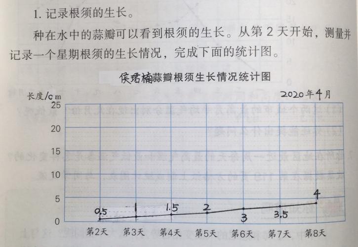 最后,我用"折线统计图"统计出了我种的大蒜的生长变化.