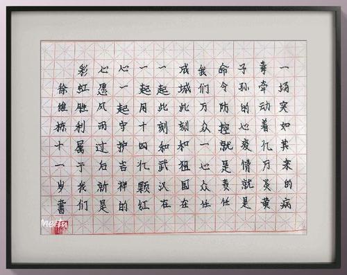 甘肃省硬笔书法家协会临夏分会"众志成城 万众一心 抗战疫情"书法作品