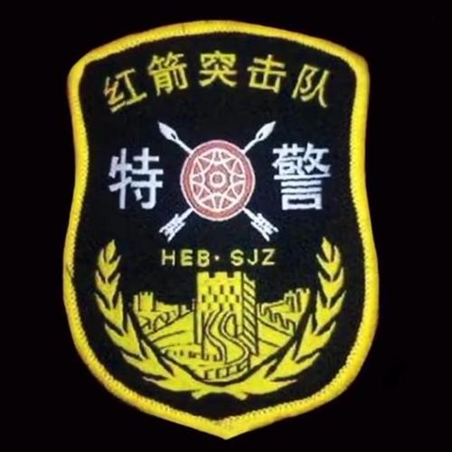 帅全国公安特警标志臂章图集