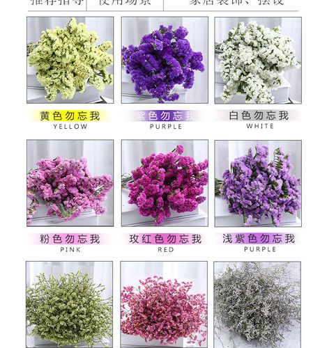 云南昆明天然干花水晶花情人草勿忘我鲜花家居装饰客厅餐厅摆件_7折