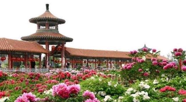 小编要重点介绍的就是享有中国牡丹之都之称的山东省地级城市菏泽2021
