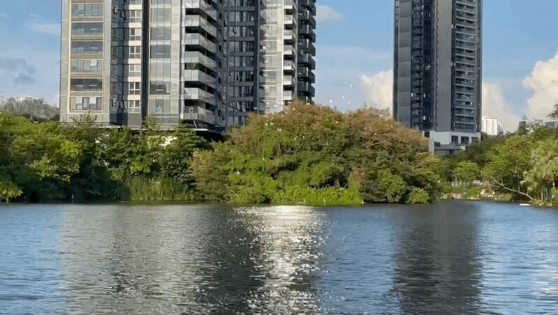 深圳市人均水平 "现实生活与理想生活之间只隔着一座华侨城" 天鹅湖 "