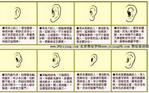 耳垂上有小窝窝面相 男人最容易发财的六种面相,耳垂小的人没福气吗?