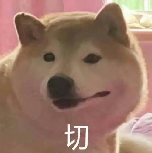 表情包一组沙雕可爱表情包听我说谢谢你