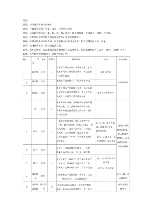 分镜头剧本参考格式