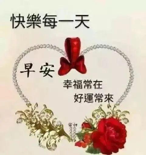 下午好表情图片大全下午好表情包感情下午好祝福语录下午好问候语