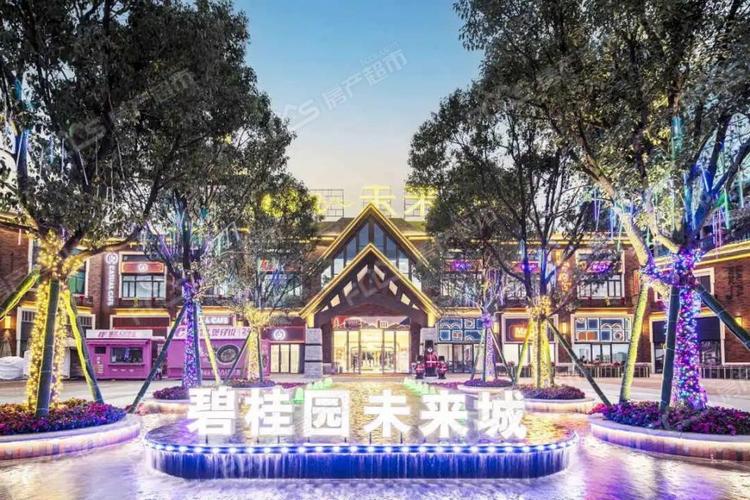 河源碧桂园未来城宣传图· 河源市区百0万级英伦生活大城 ·河源