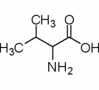 dl-缬氨酸,分析标准品,hplc≥98%