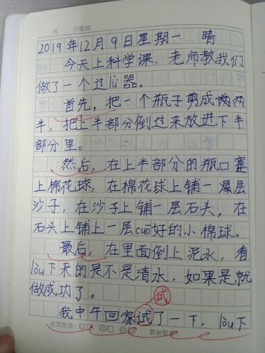 三年级小练笔