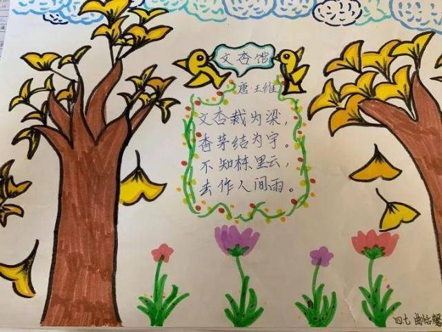 银杏树是古老冰川世纪的遗孑,也是现代植物界里的"尊贵",树形优雅