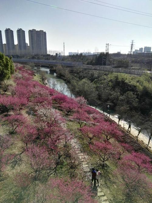 匡河公园