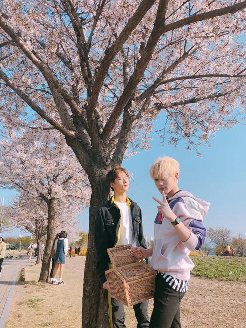 朴志晟钟辰乐志辰