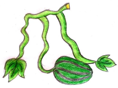 汉字的视觉联想