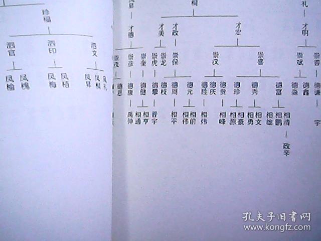 山西孝义临水独贤里正七甲郭氏族谱郭子仪后裔